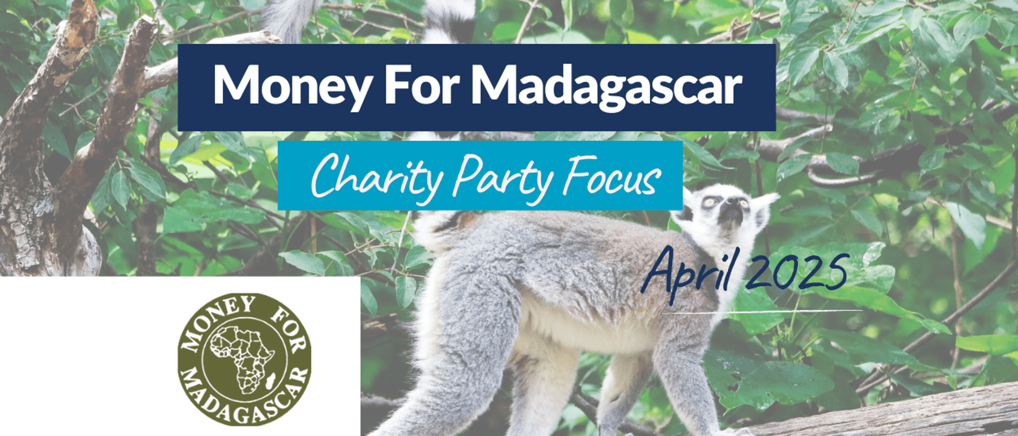 MfM Campaign Banner, Cute Lemur